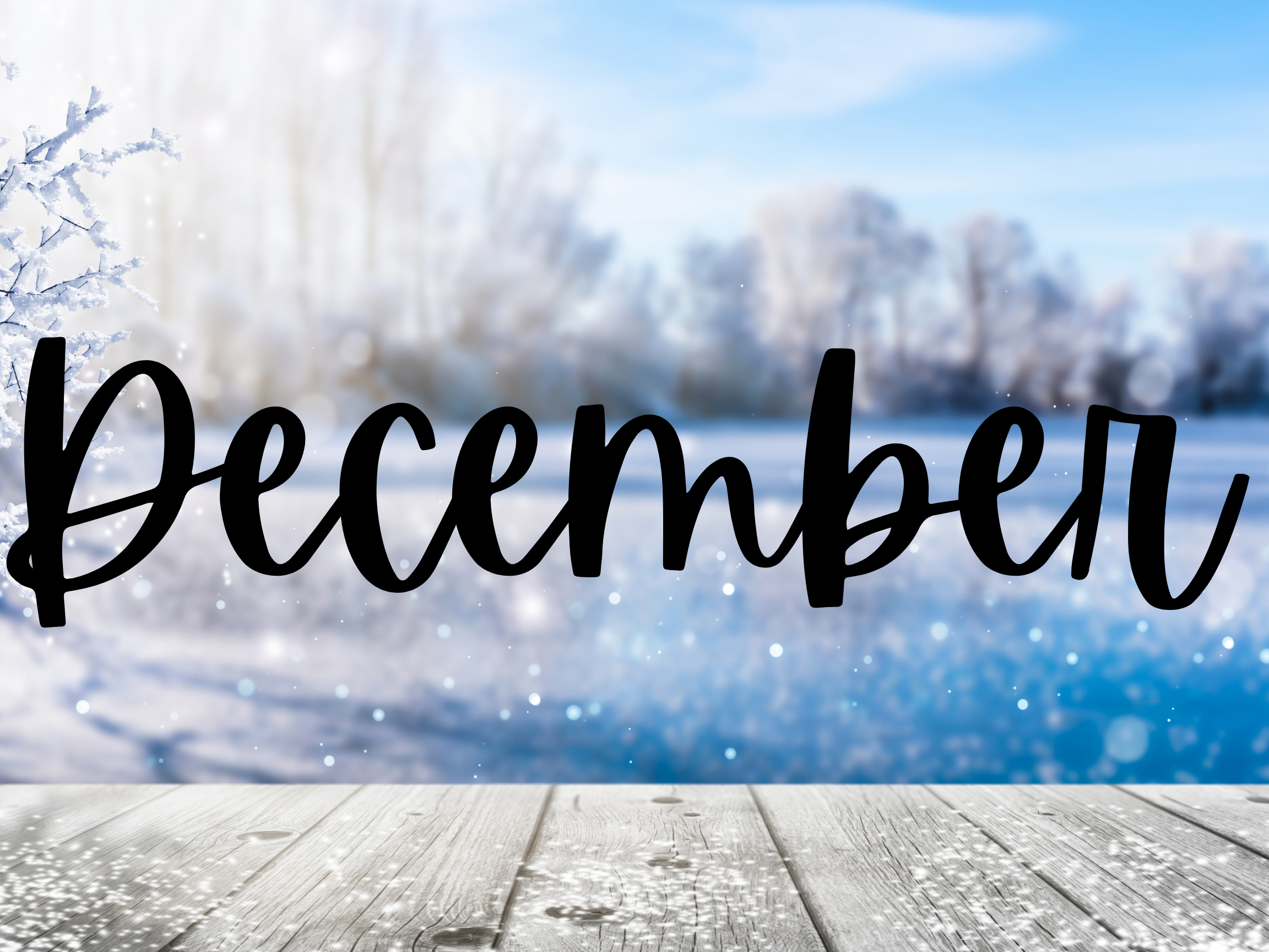 December Newsletter