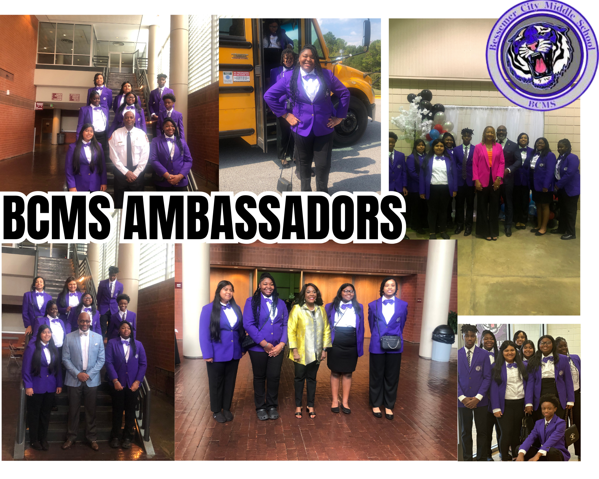 ambassadors
