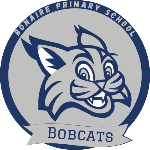 bobcat