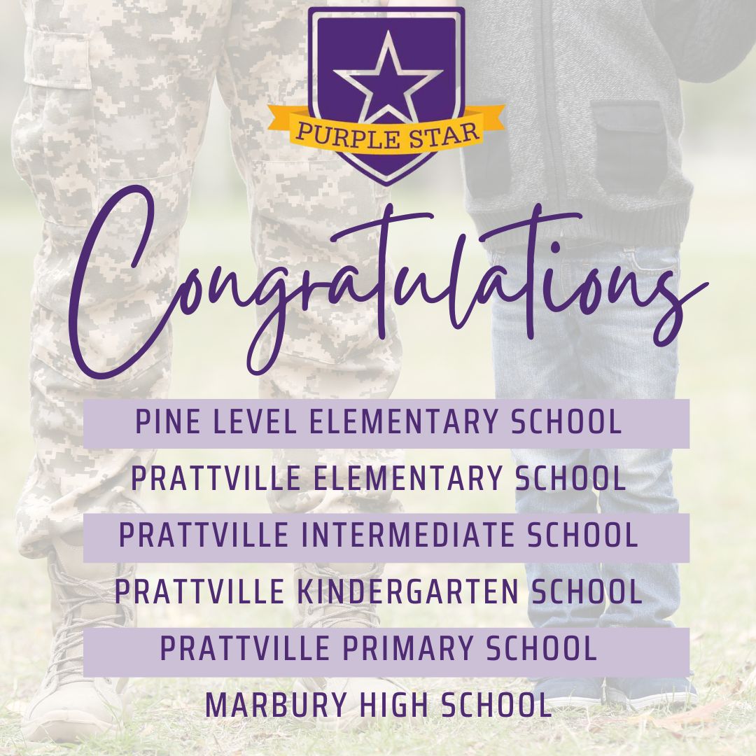 2025 Purple Star Schools Graphic