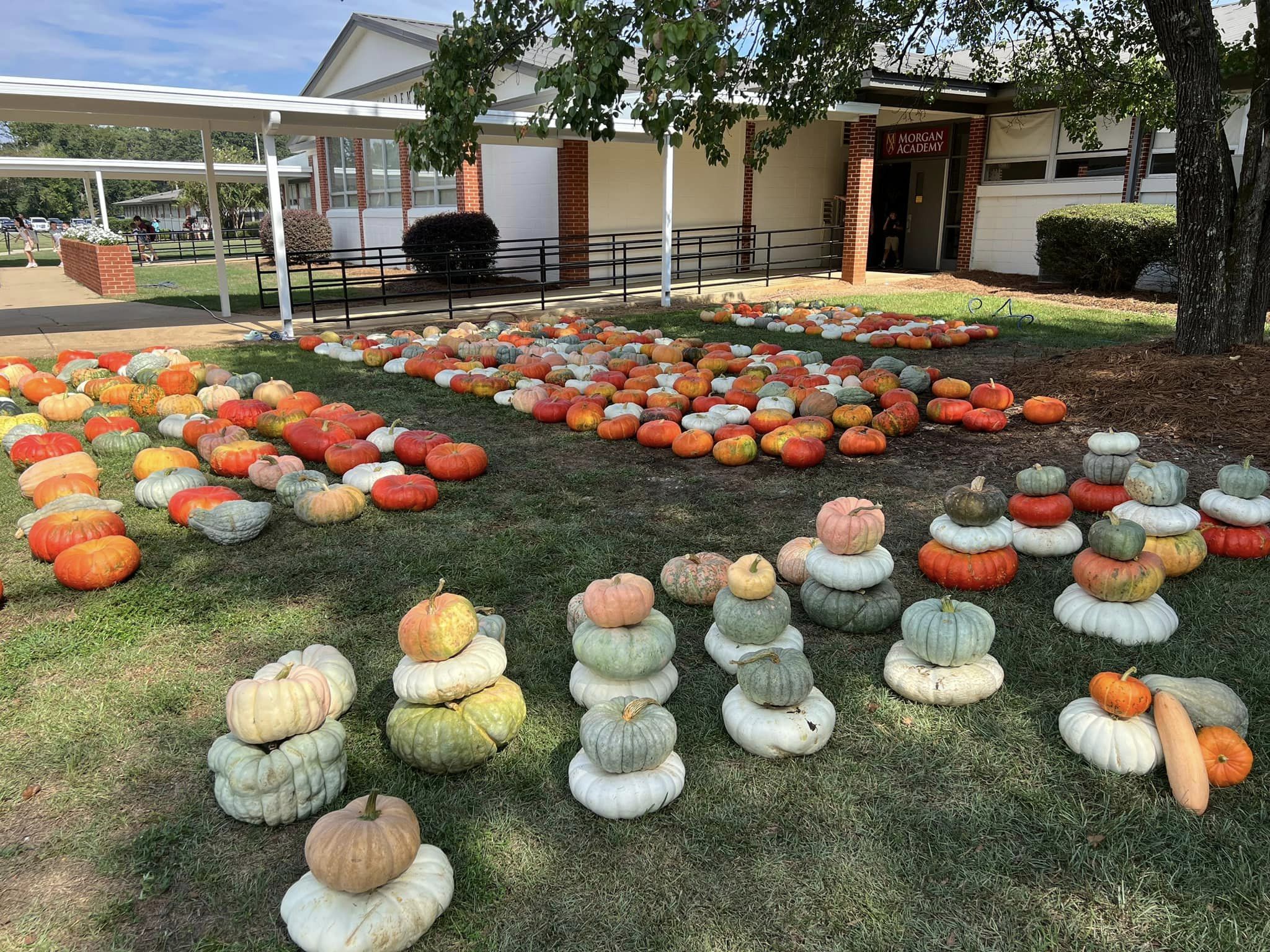 Pumpkins