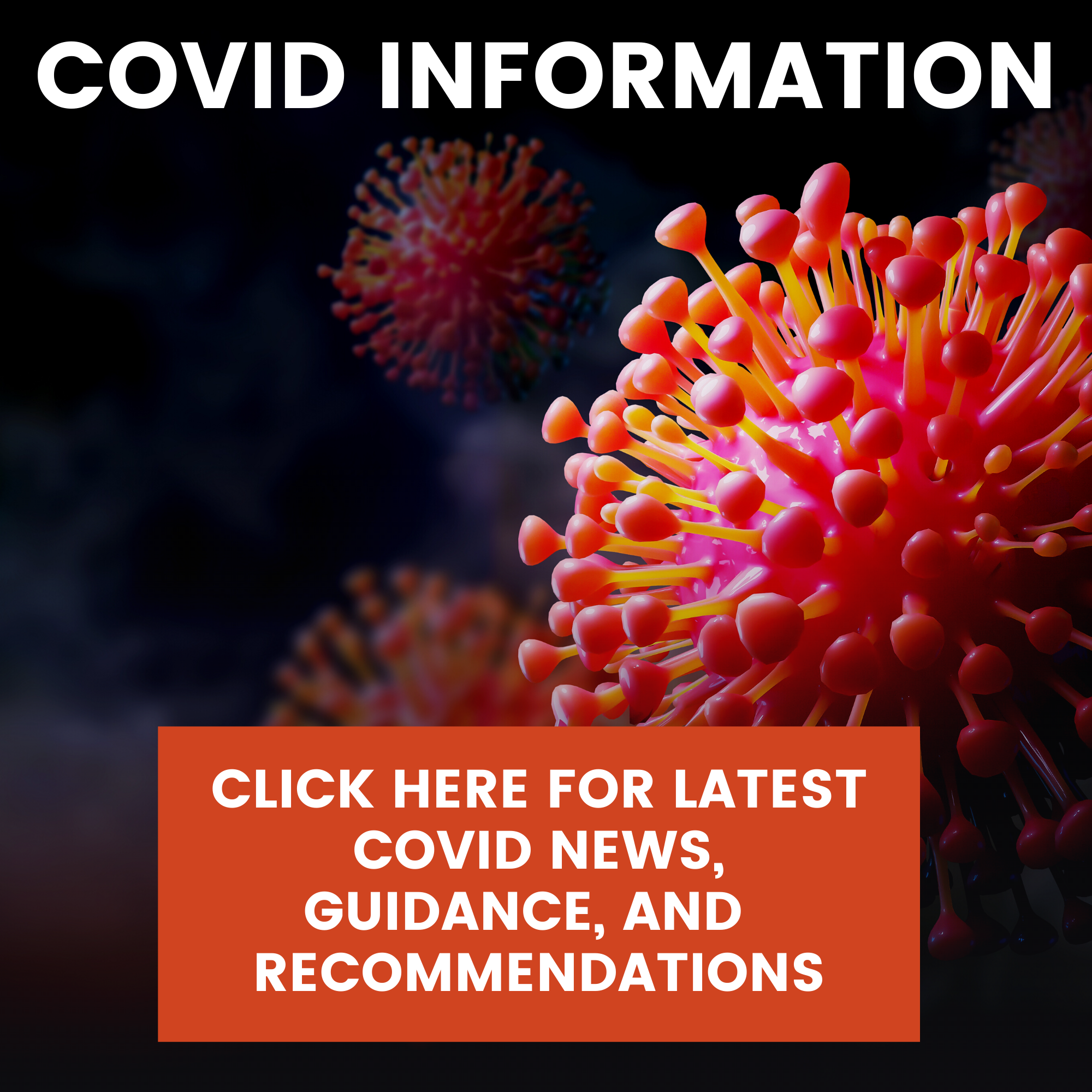 Updated Covid  Information 2-22