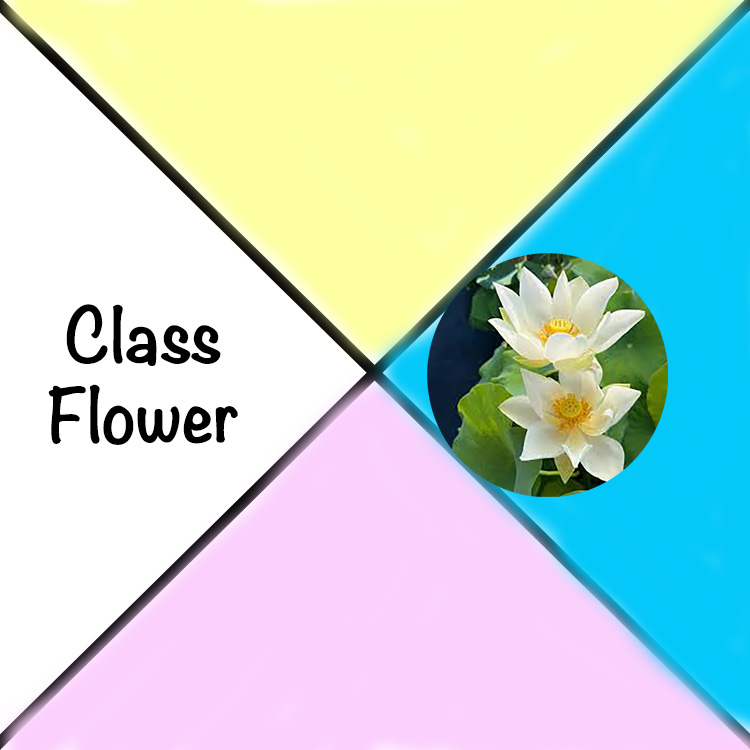 Class Flower