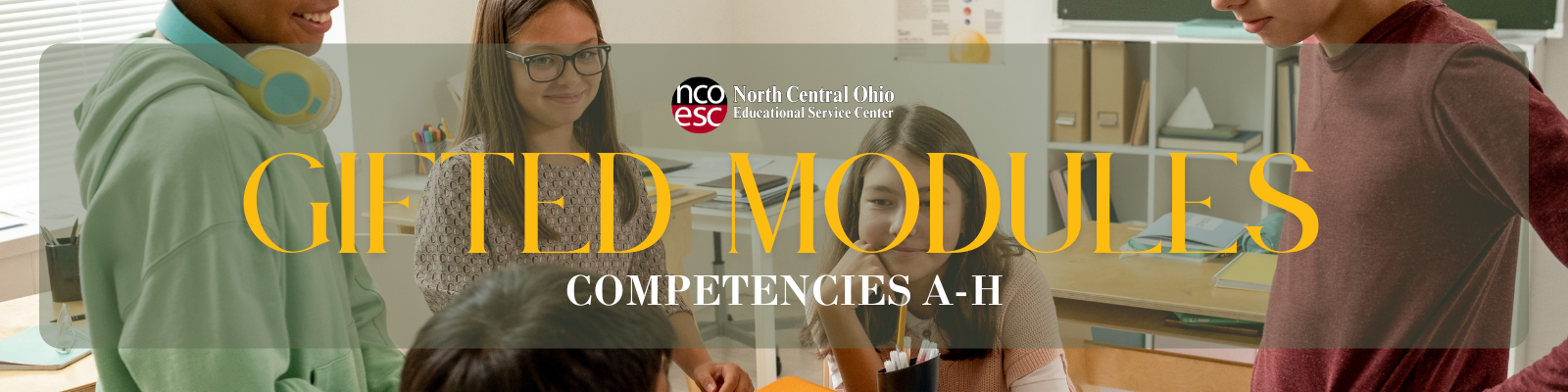 Gifted Modules Competencies A-H Gifted Modules Competencies A-H
