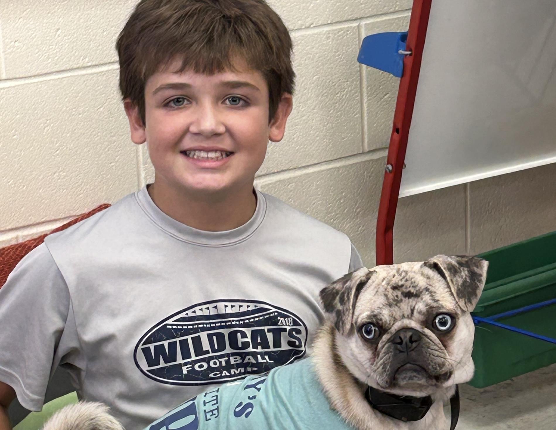 Puggles