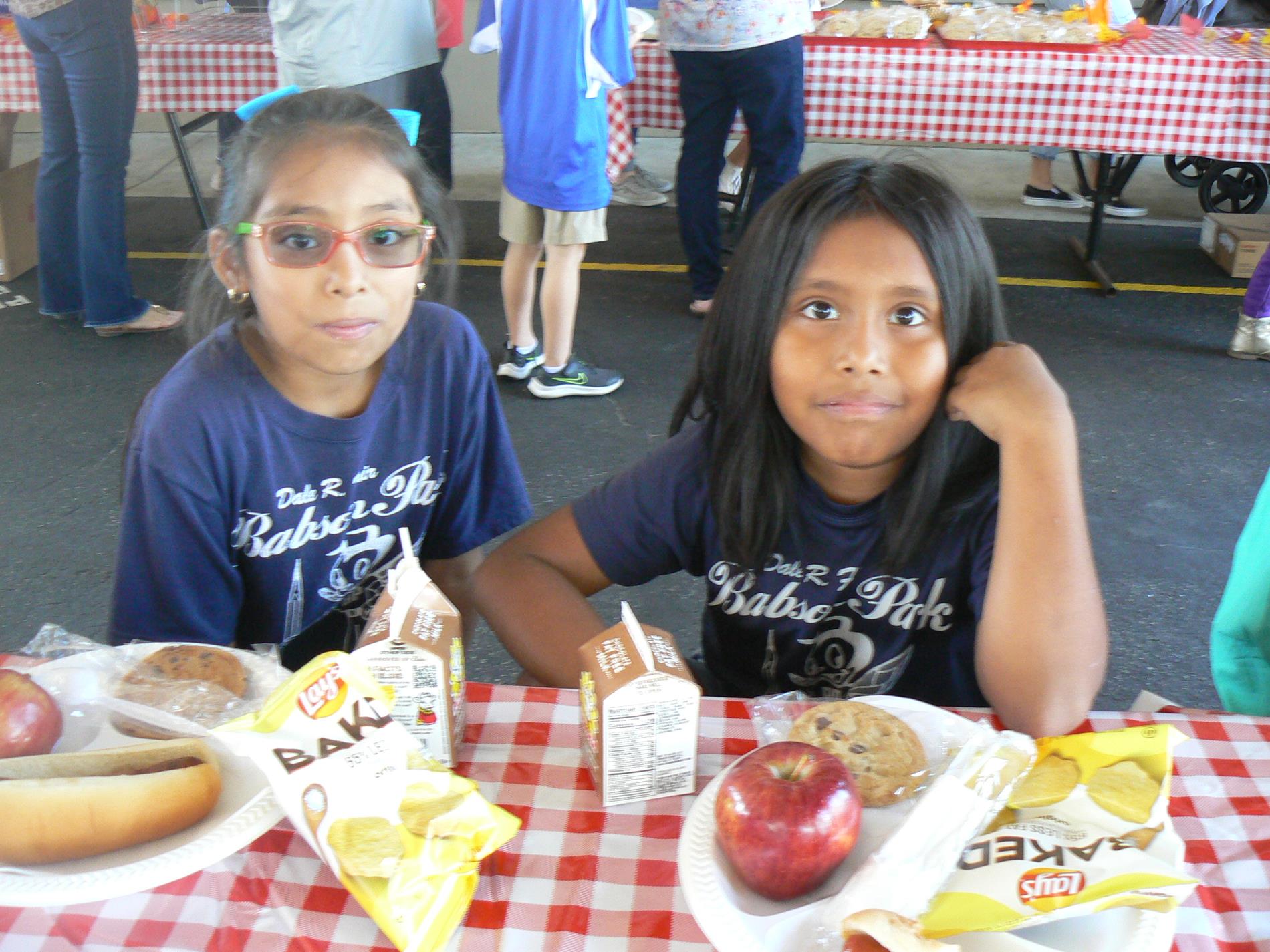 Gnats enjoying family picnic.