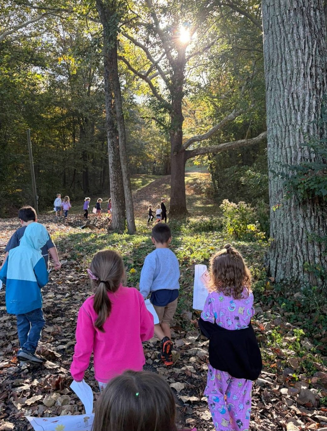 Elementary students walking through the woods.