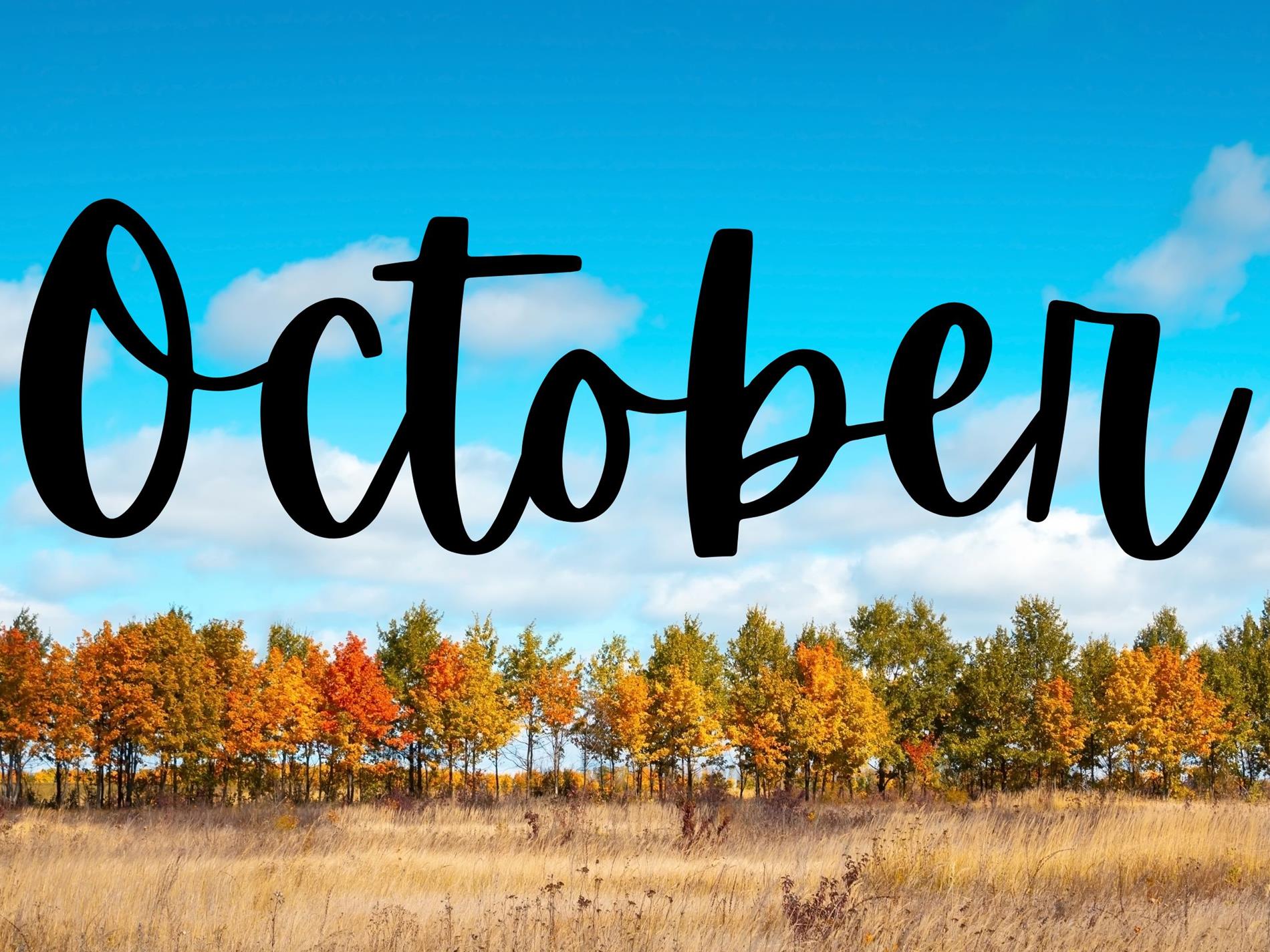 October Newsletter