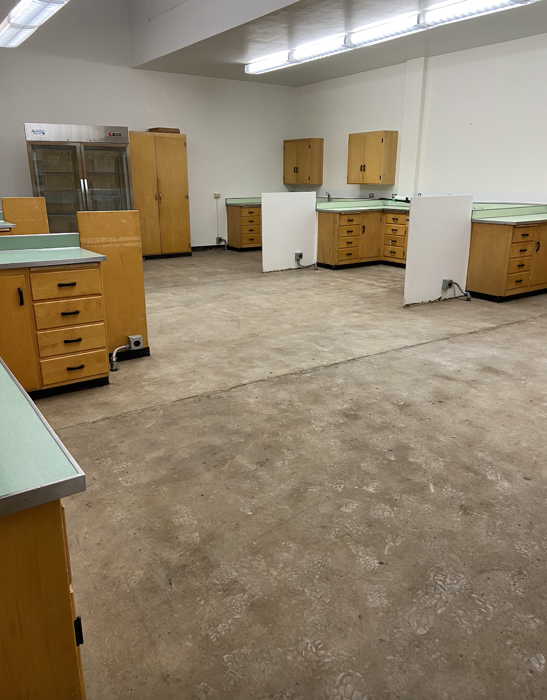 FACS Kitchen floor removed