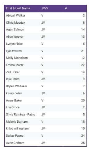 THS VOLLEYBALL ROSTER