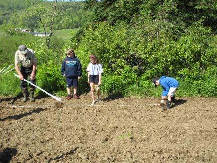 Planting Pumpkins 060325