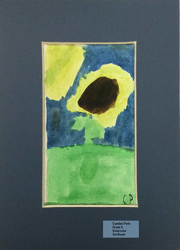 Camden Potts - Watercolor - Sunflower