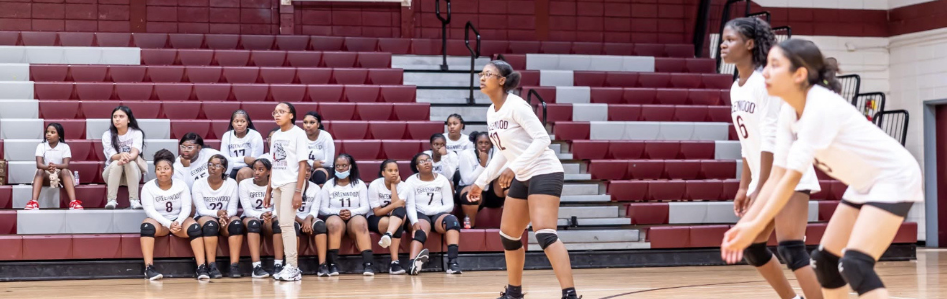 Volleyball HighLights