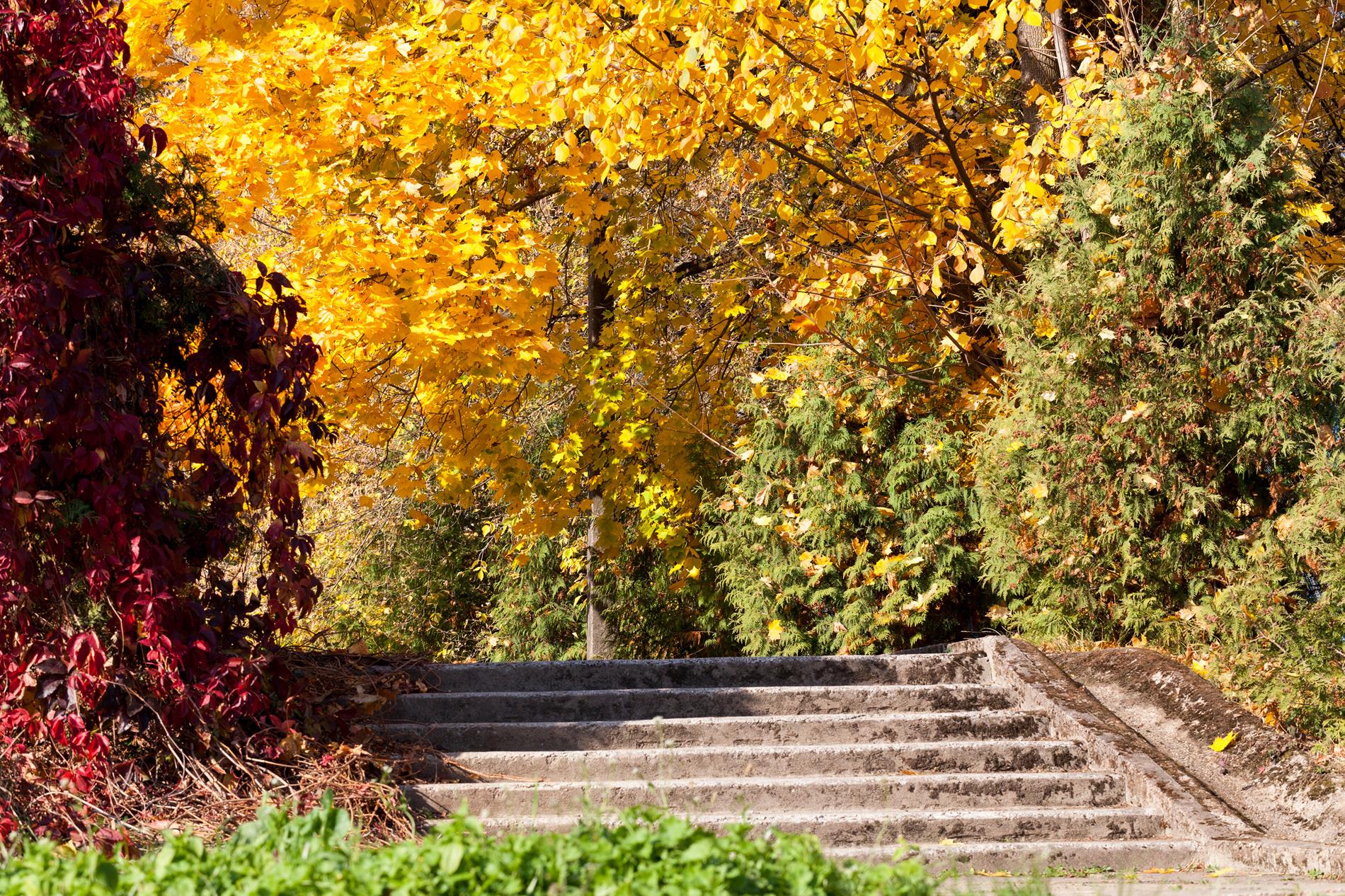 Stepping Stones stairway to changing colors