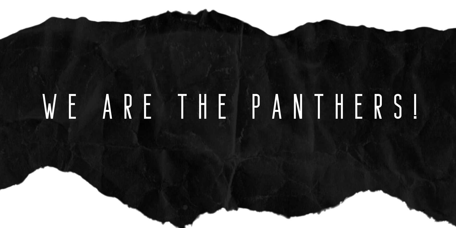 We are the Panthers