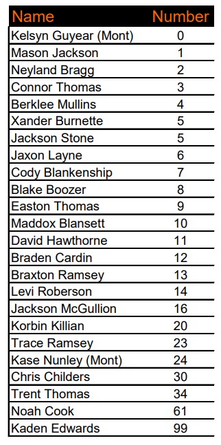 spa baseball roster