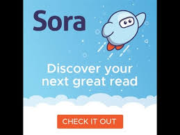 sora app for ebooks