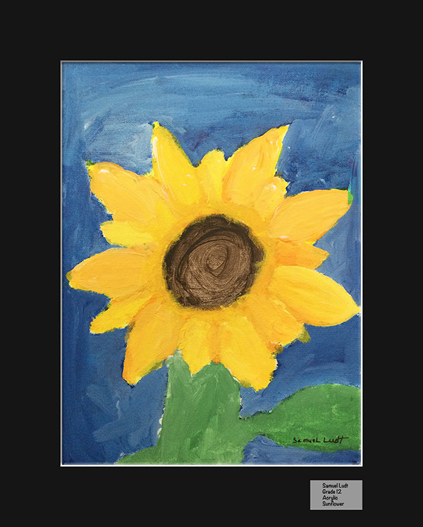 Sam Ludt - Acrylic Painting  - Sunflower