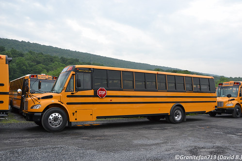 Bus