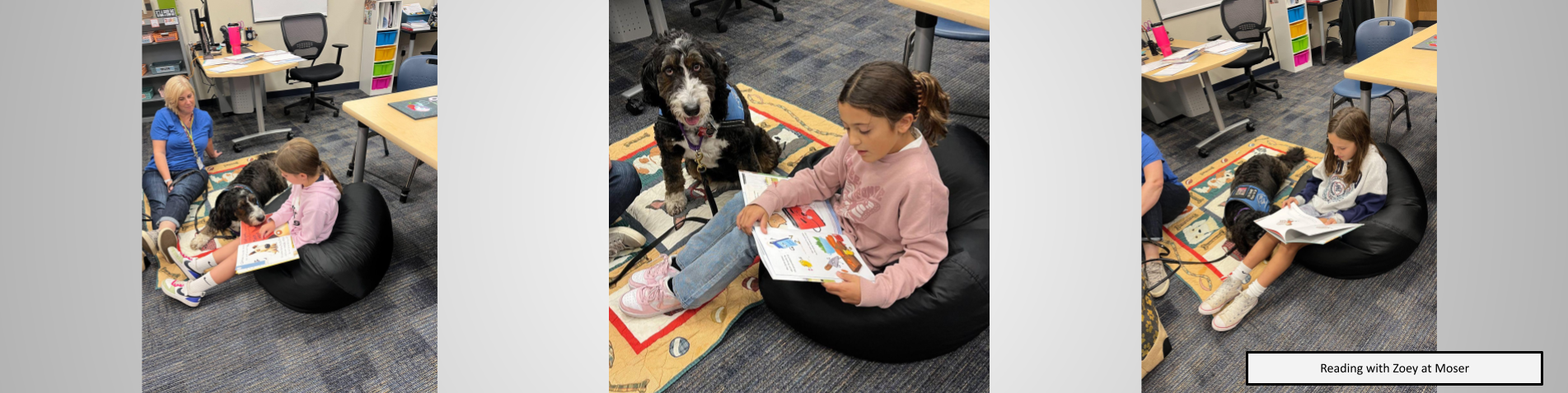 Moser students reading with Zoey the service dog