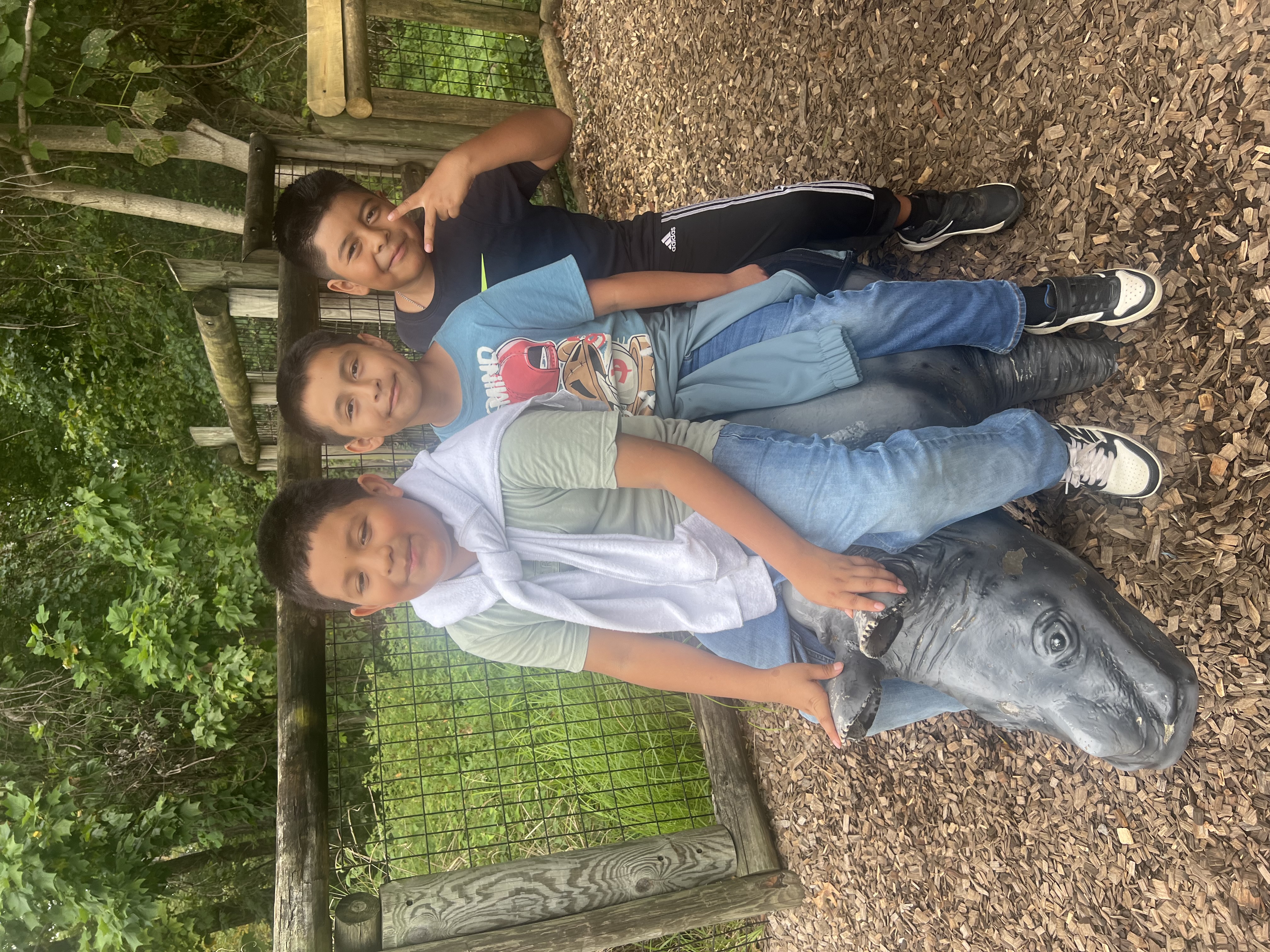zoo zoo