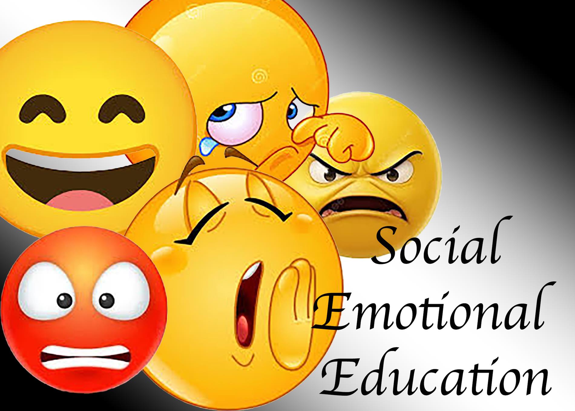 Social Emotional Curriculum