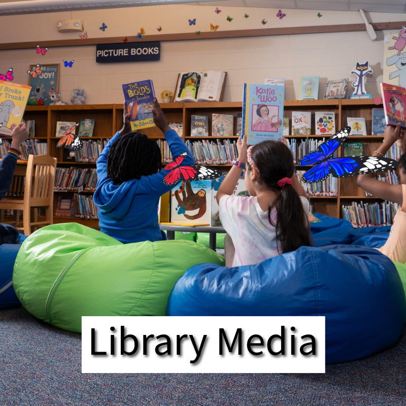 Library Media Curriculum