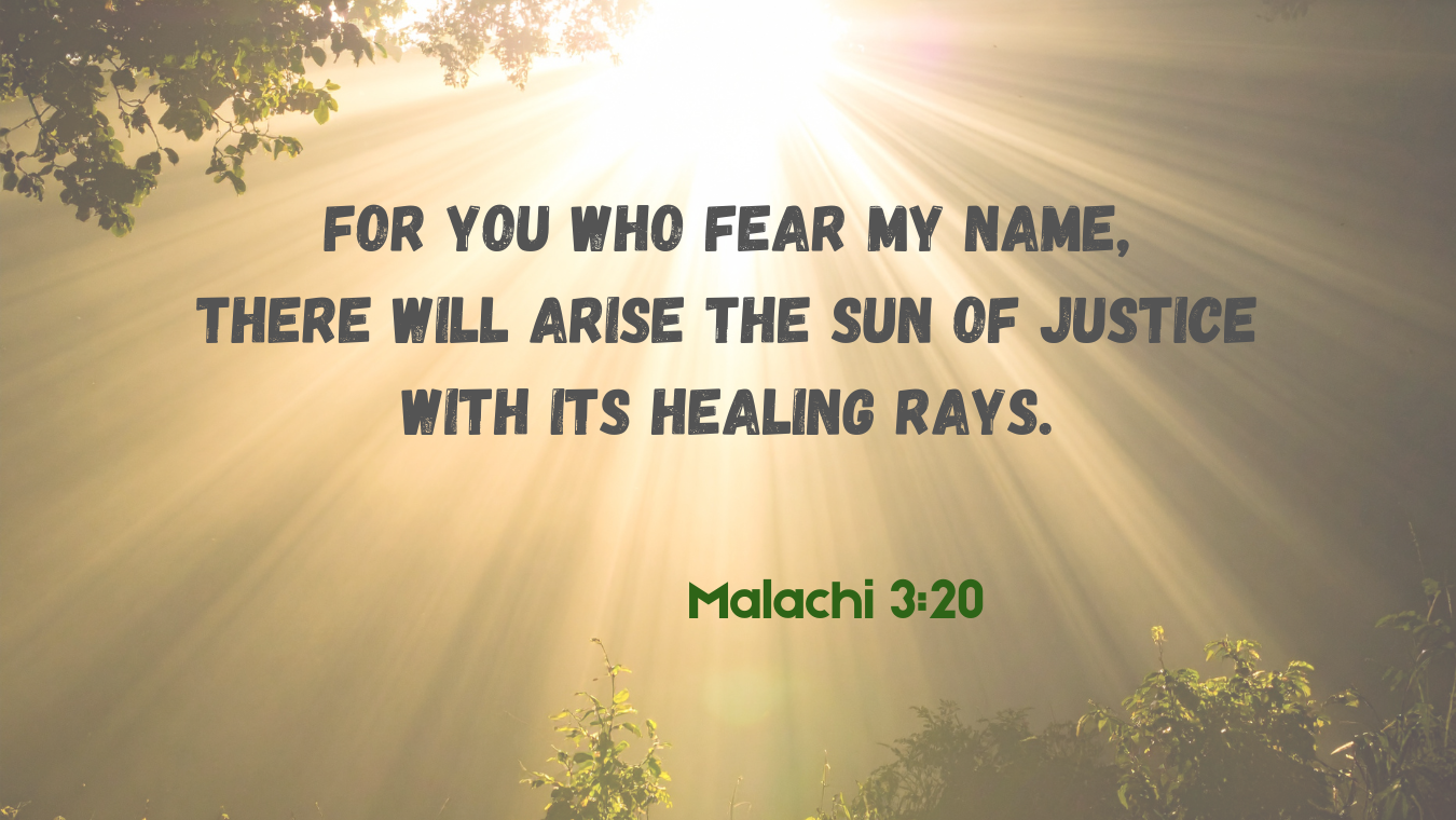 Thirty-Third Sunday in Ordinary Time