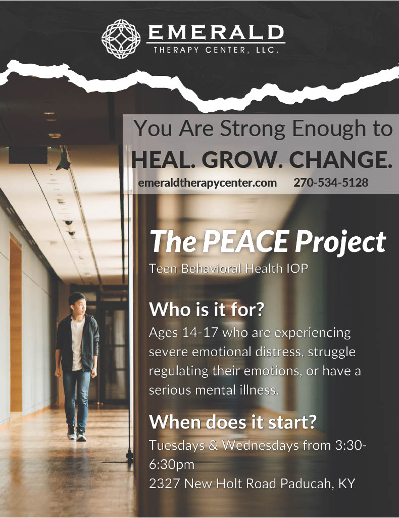 The Peace Project