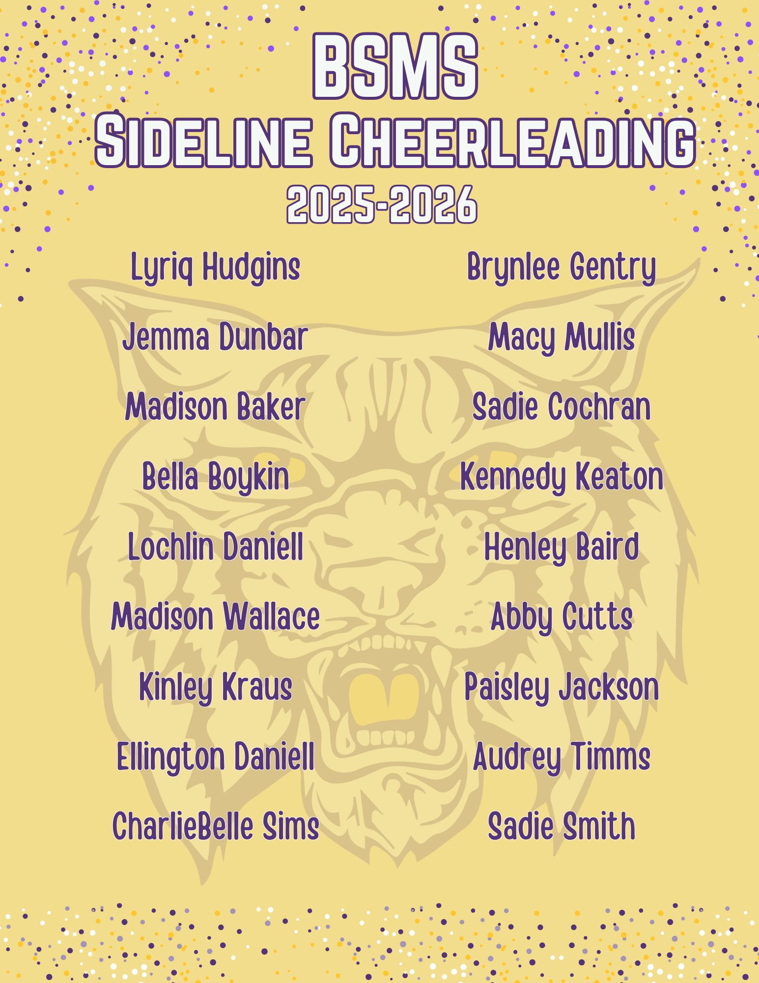 2025-2026 Sideline Cheer Team