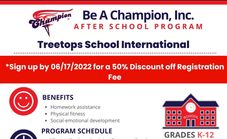 Be A Champion Flyer