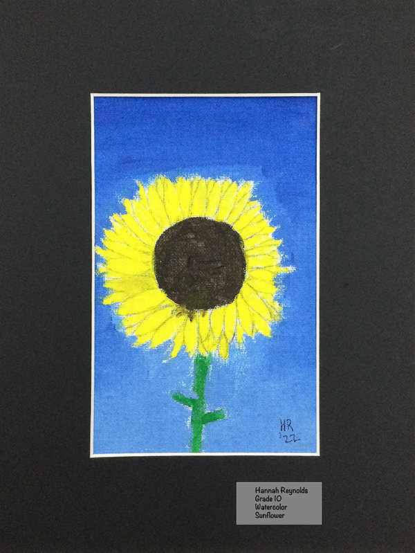 Hannah Reynolds - Watercolor - Sunflower