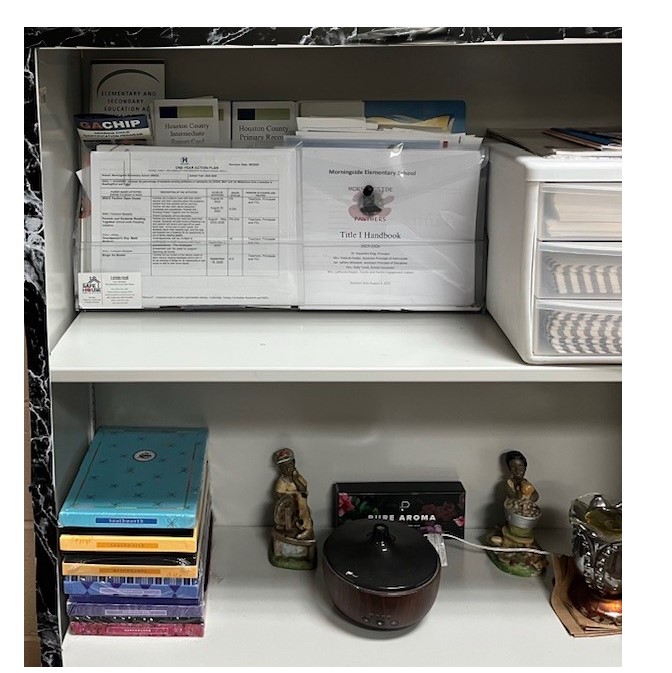 MSES Resources