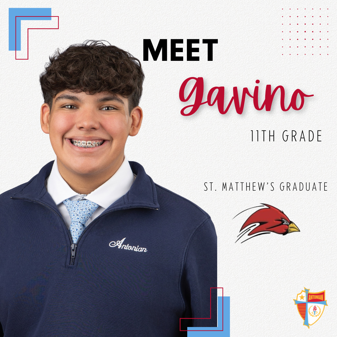 Gavino