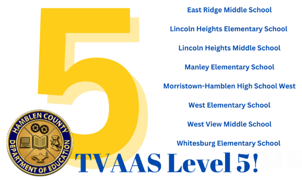 TVAAS Level 5 Schools