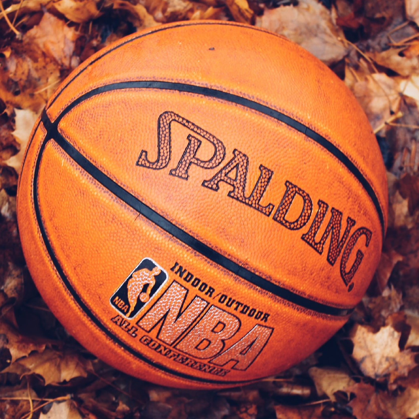 basketball in leaves