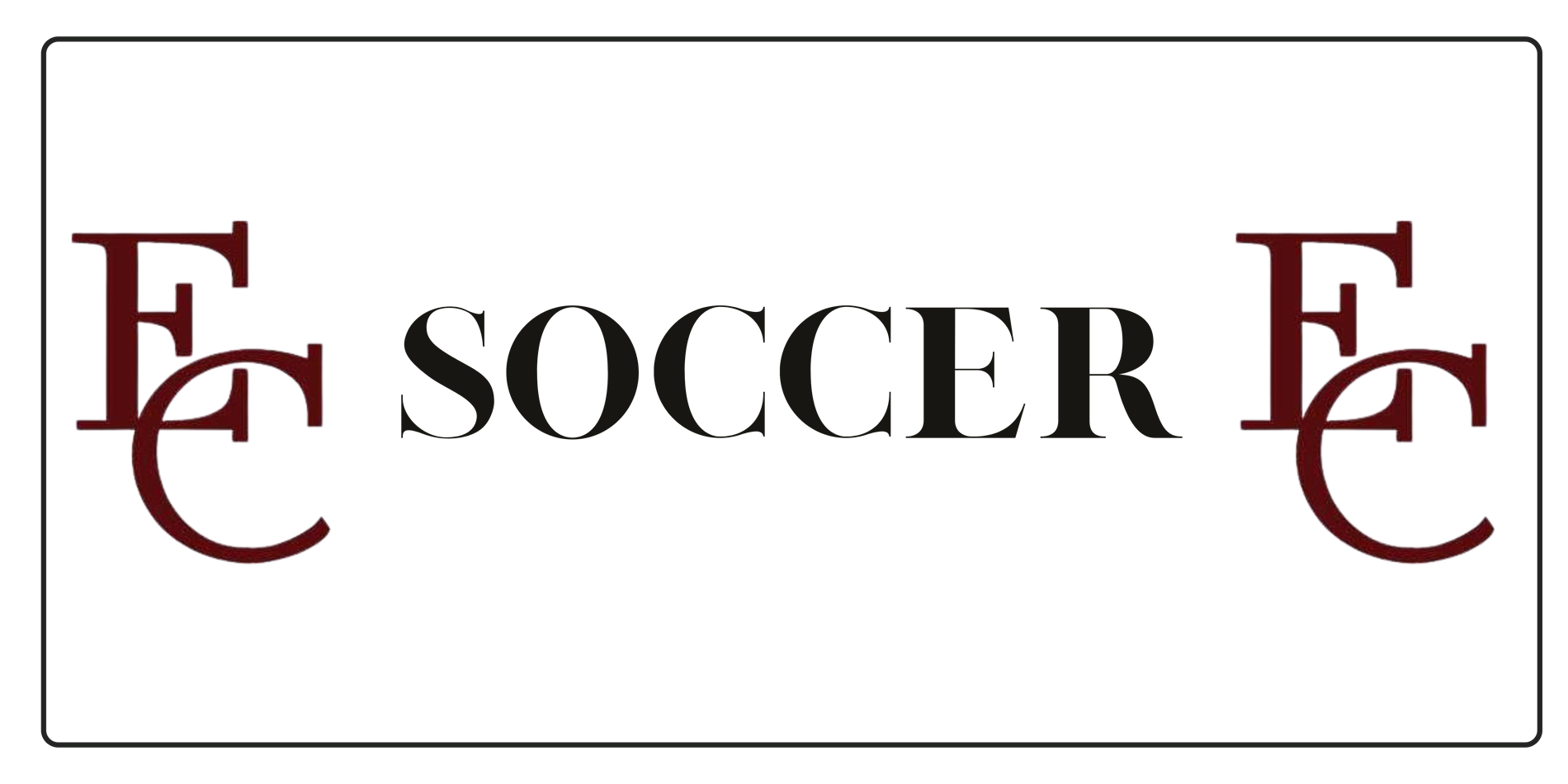 Soccer Banner