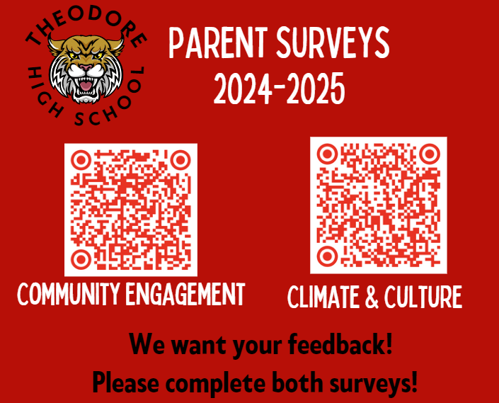 Parent Survey