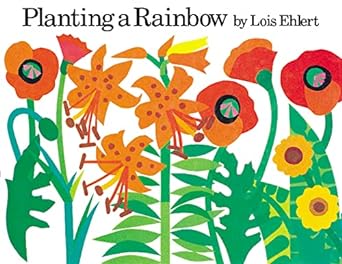 Planting a Rainbox