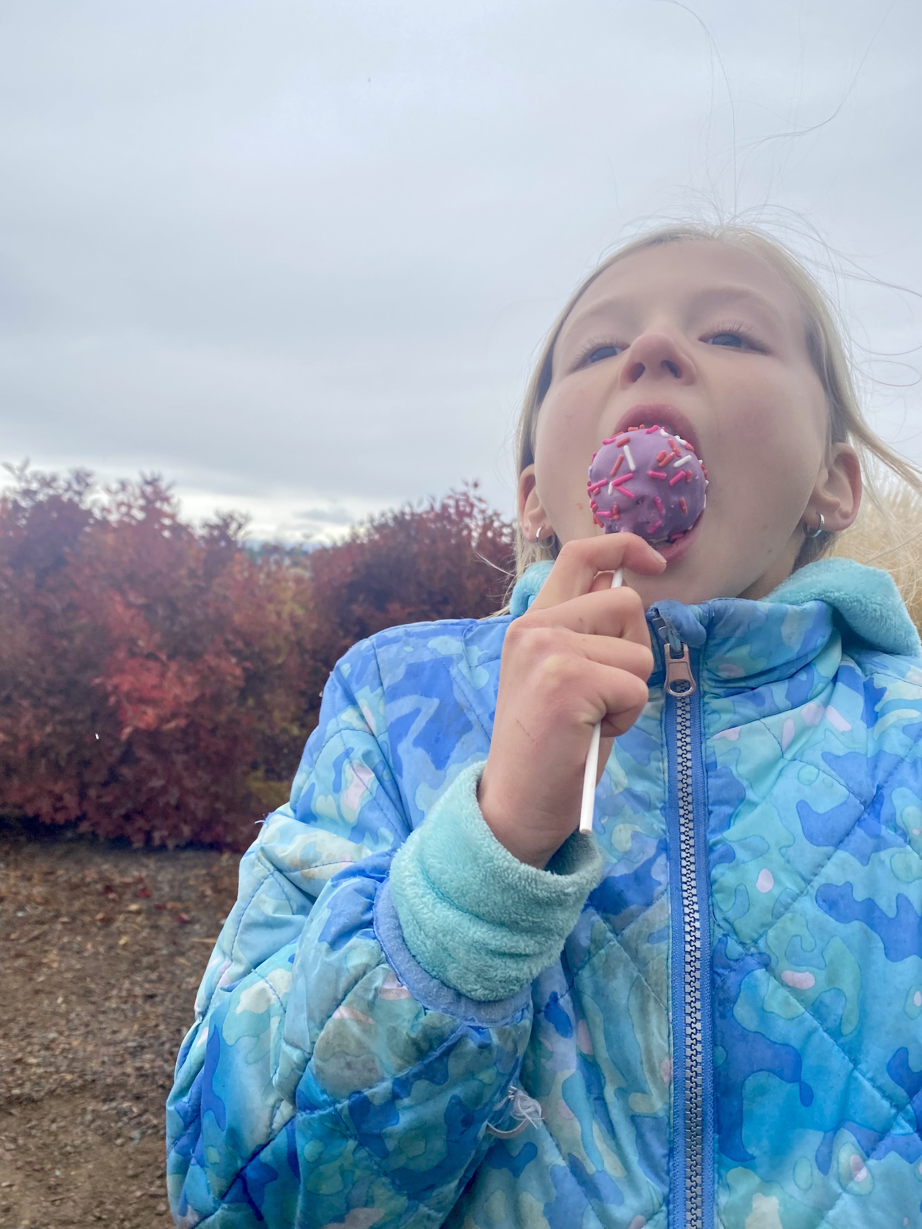 Pumpkin Patch