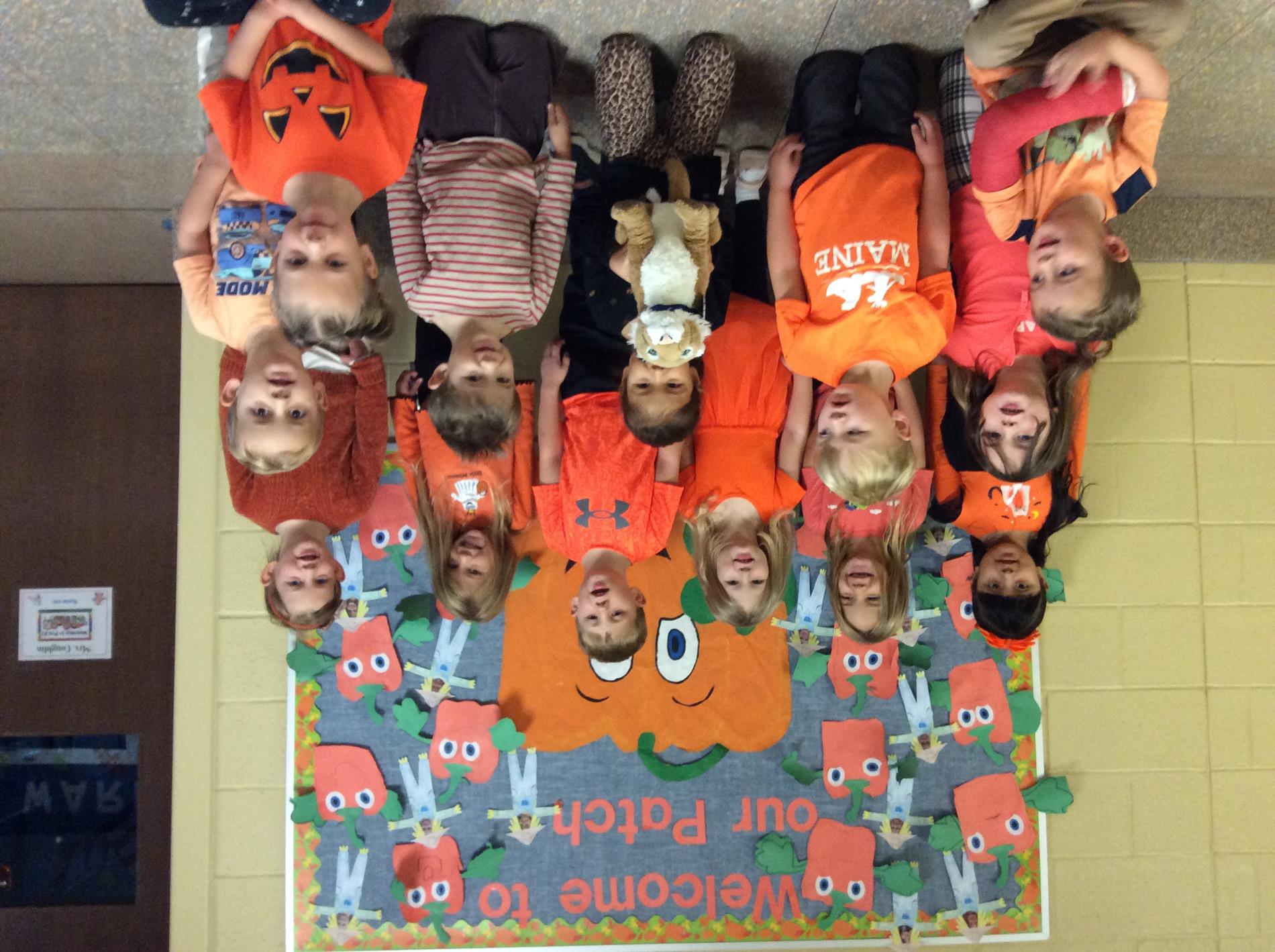 Kindness Cat Unity Day