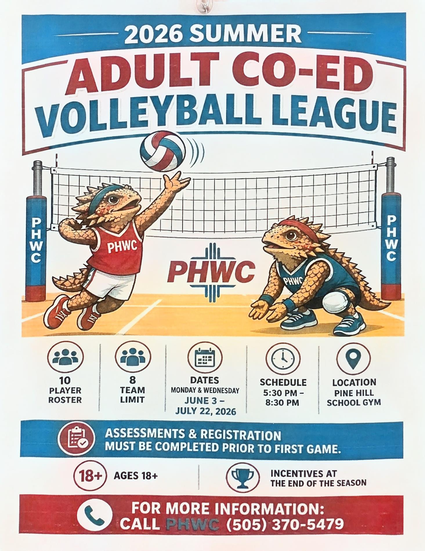 Adult Volleyball