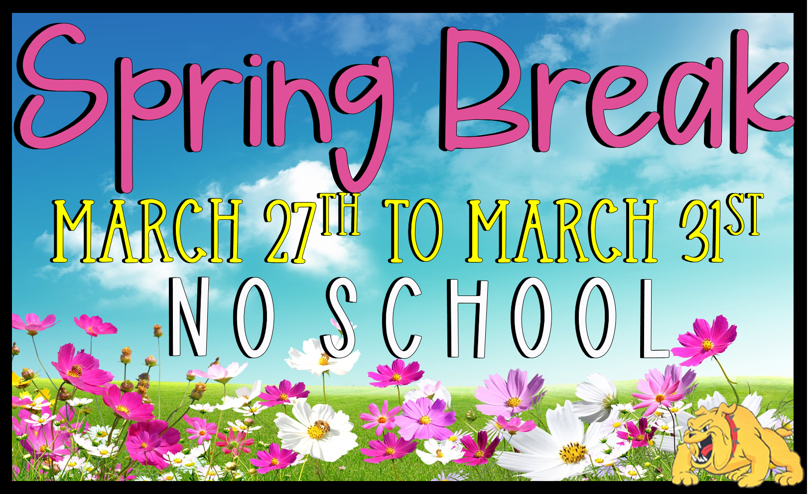 spring Break spring Break