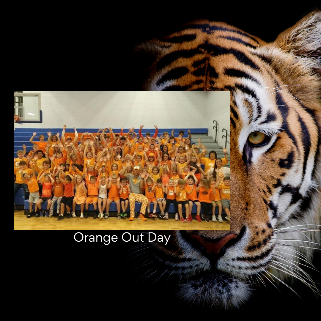 Orange Out Day 