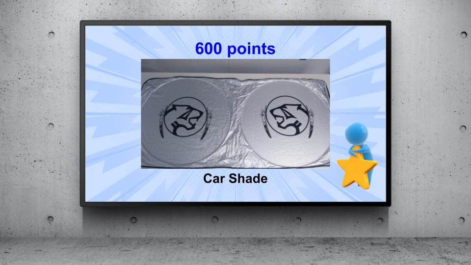 600 points- Car Shade