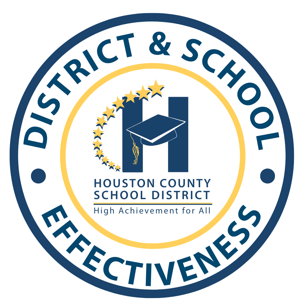 District and School Effectiveness logo