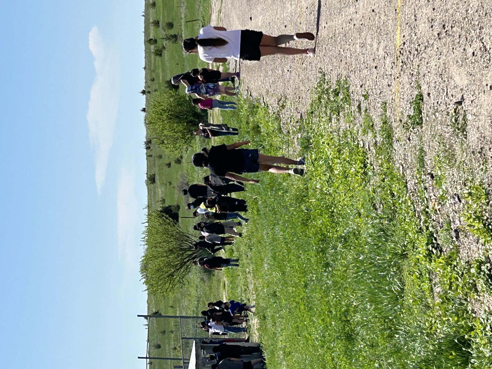 Elementary Field Day