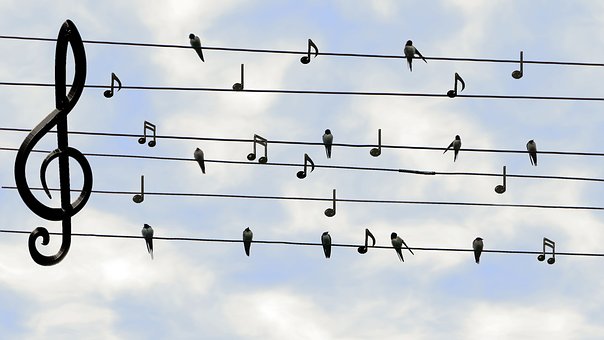 Picture of Musical Notes With Birds
