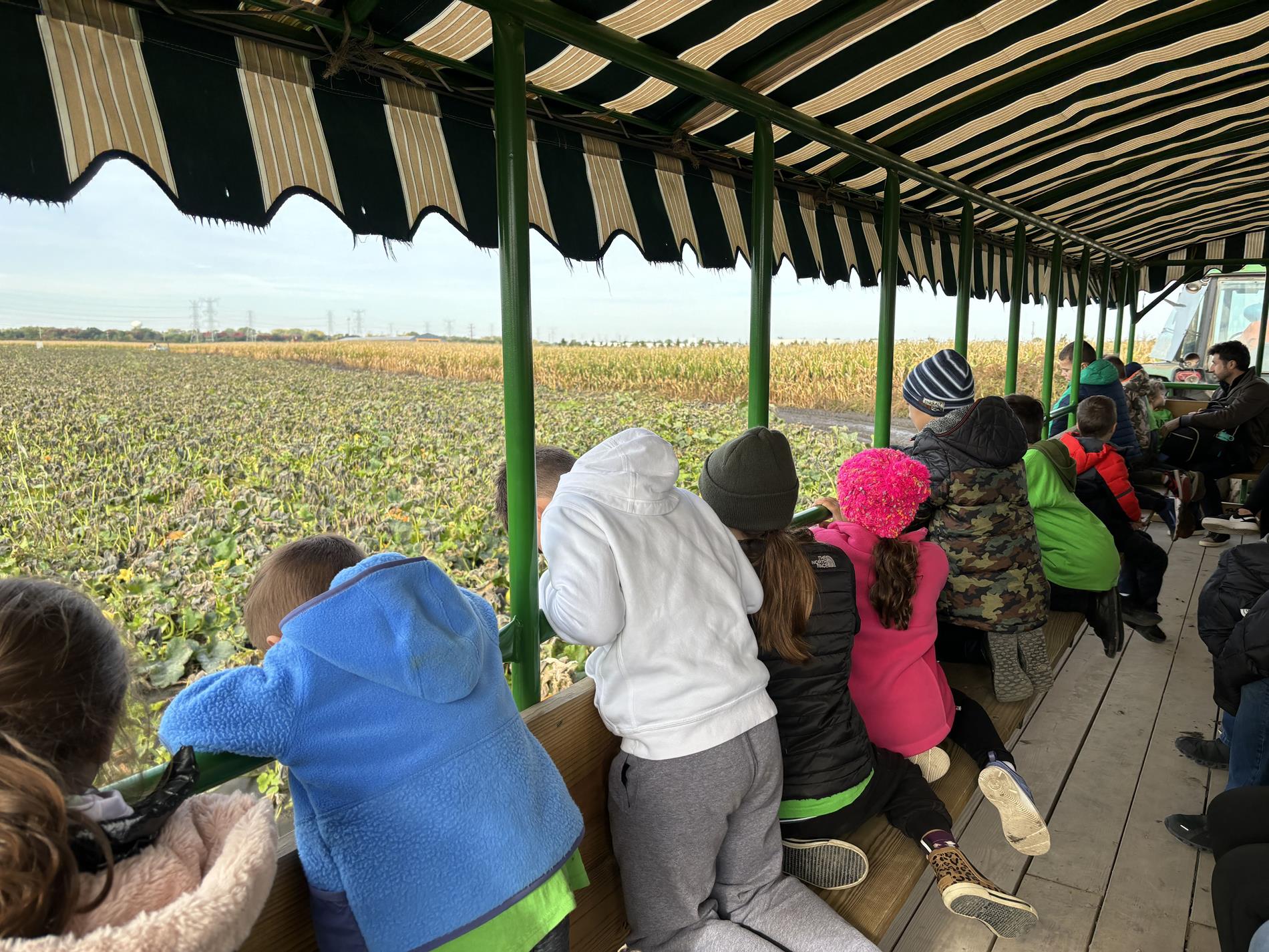 Pictures from our Field Trip on 10/17 to the pumpkin farm!