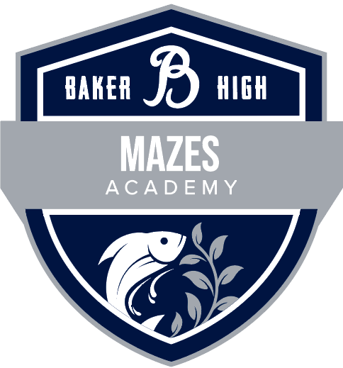 MAZES Academy